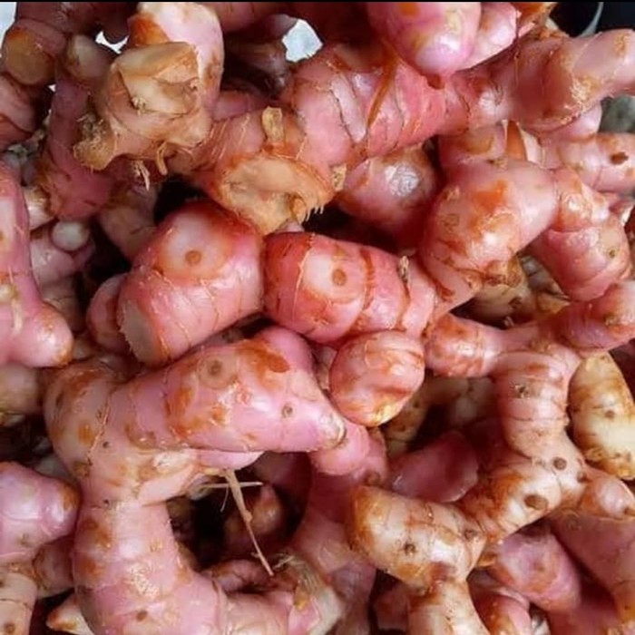 

Laos/lengkoas/laja kualitas terbaik 1 kg