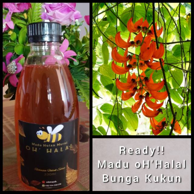 

Madu Hutan Murni Bunga 'Kukun'