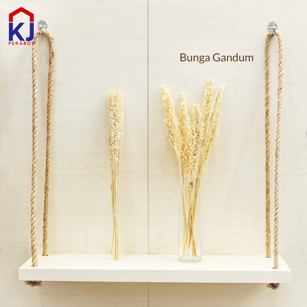 BUNGA GANDUM KERING Shopee Indonesia BUNGA GANDUM KERING Shopee Indonesia