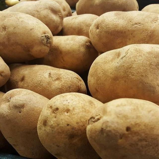 

Kentang 500gr - 1 kg