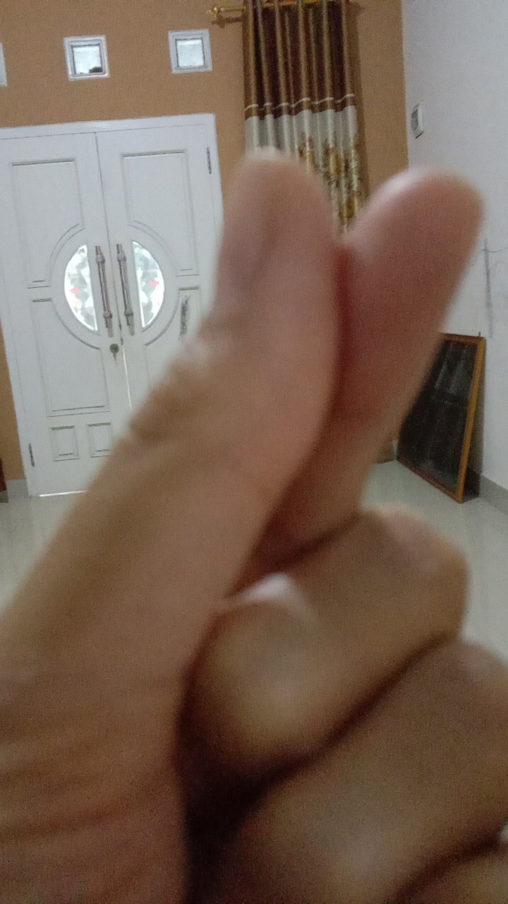 Minyak Goreng Alumah 1800ml- Minyak Goreng Berkualitas