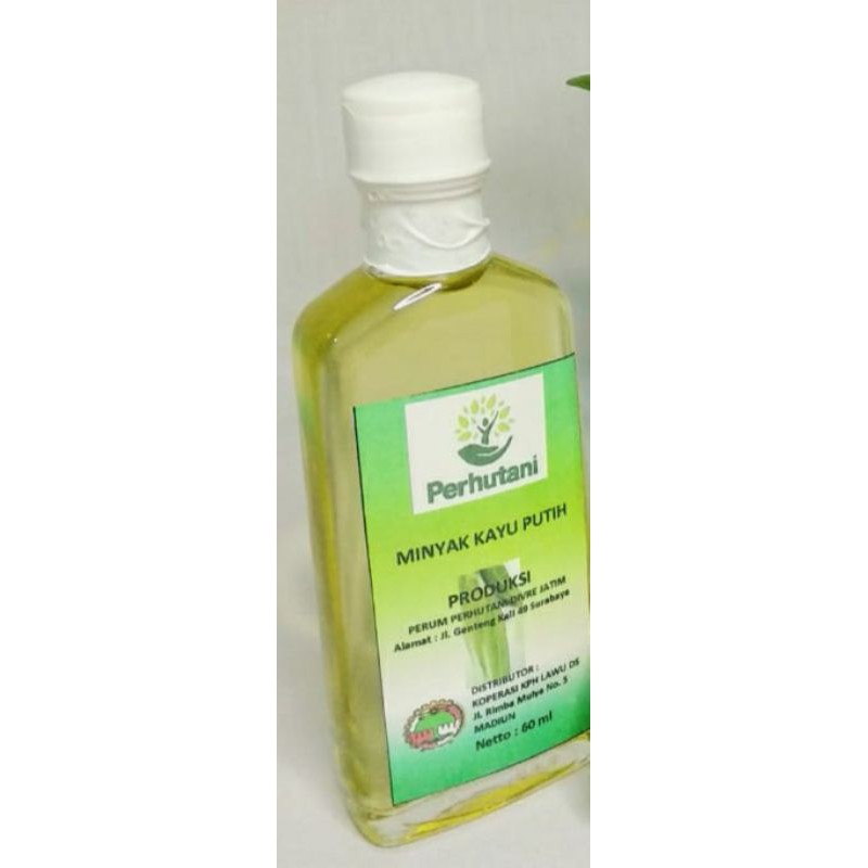 Minyak Kayu Putih Asli Perhutani