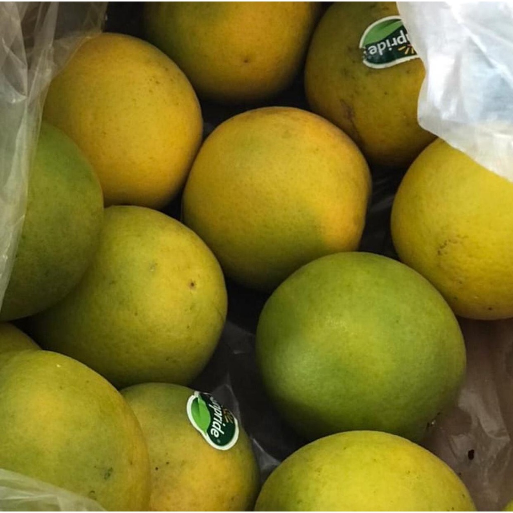 Jeruk Baby Sunpride | Jeruk Sunkist Lokal