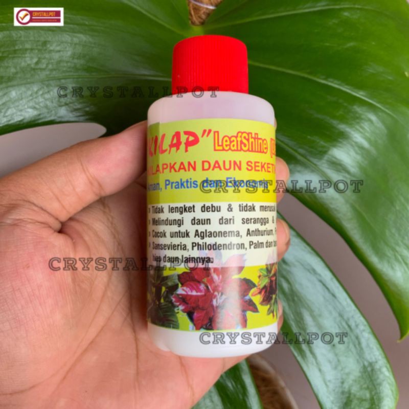 KILAP LEAFSHINE 100ML pengkilat daun bikin tanaman kelihatan bagus