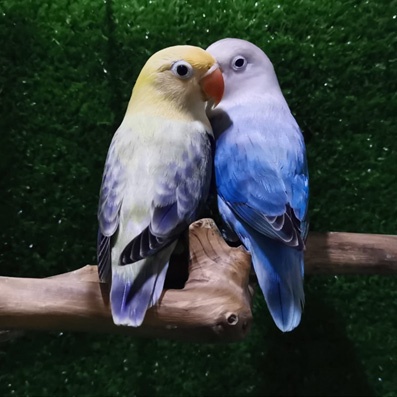 LOVEBIRD SEPASANG INDUK - BIOLA EUWING BLUE x BIOWING PB DARK VIOLET - LOVEBIRD LANGKA MUTASI OPALIN