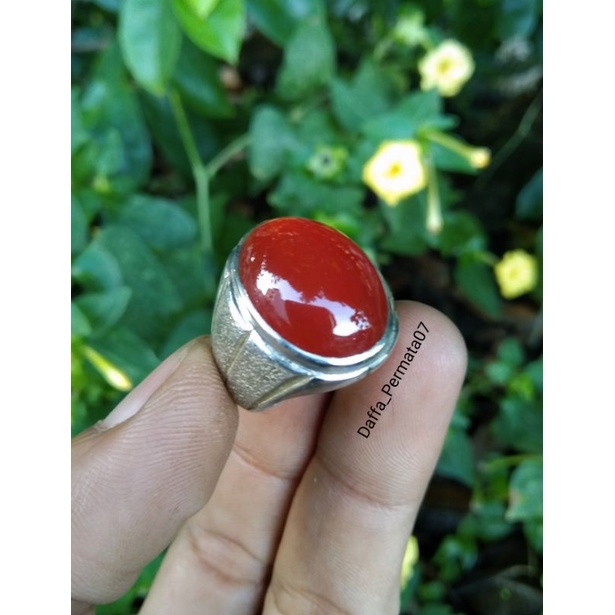 Batu Cincin Raflesia Bengkulu Super Red