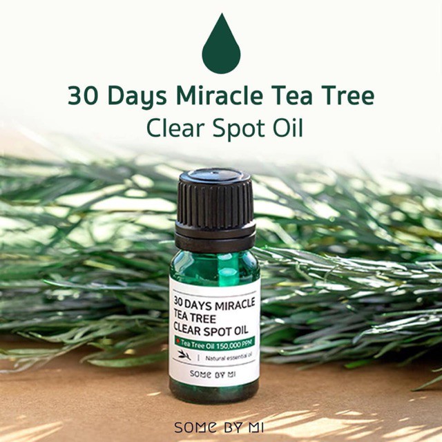 [BPOM] SOMEBYMI 30 Days Miracle Tea Tree Clear Spot Oil 10ml