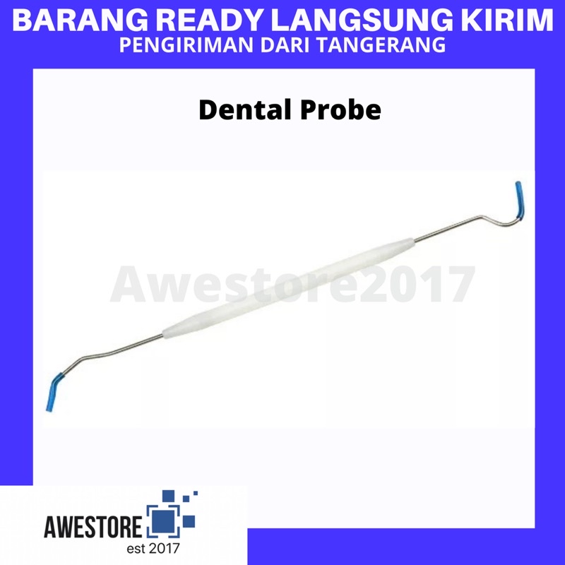 Alat Pembersih Karang Gigi Dental Probe Tartar Remover Plastik PP
