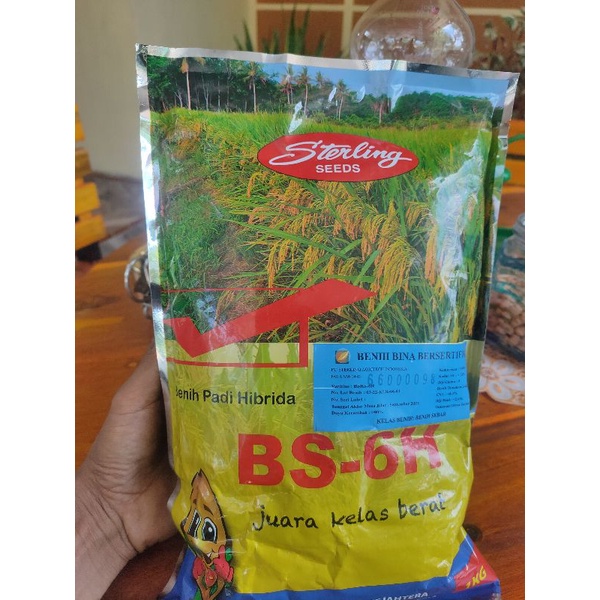 Padi Hibrida BSHS-6H
