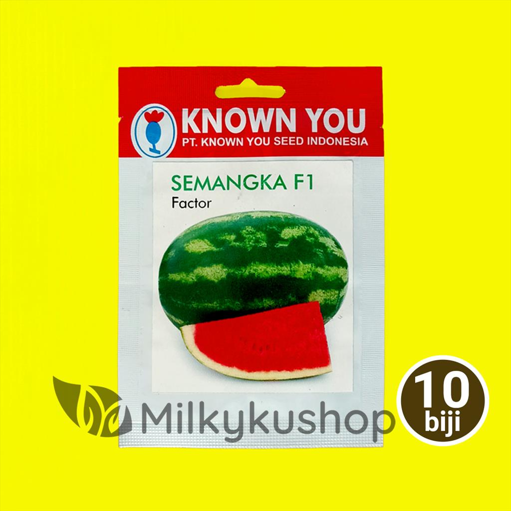 BENIH KYS KNOWN YOU SEED SEMANGKA F1 FACTOR 10 BIJI KP