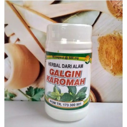 Galgin ObAT Batu Ginjal De Nature