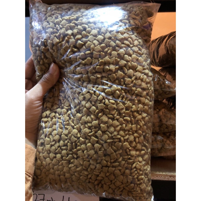 Universal kitten 1 kg