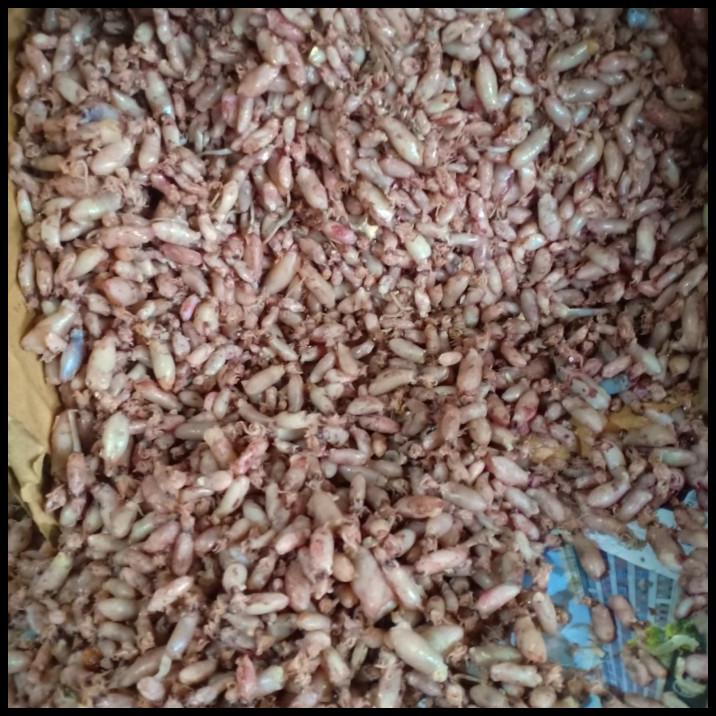 

Ikan Asin Baby Cumi Kering Per 500Gr