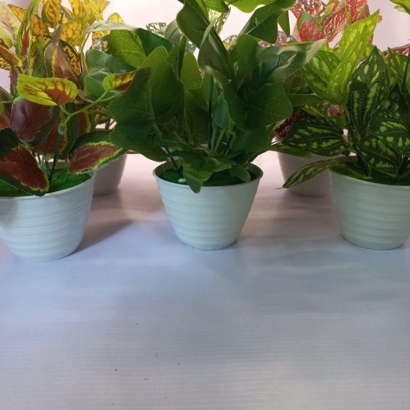 daun ivi artificial/daun ivi plastik/daun ivi palsu/daun talas palsu/daun talas plastik/daun kecil/p
