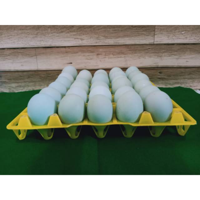 

Telur Bebek Tawar isi 30