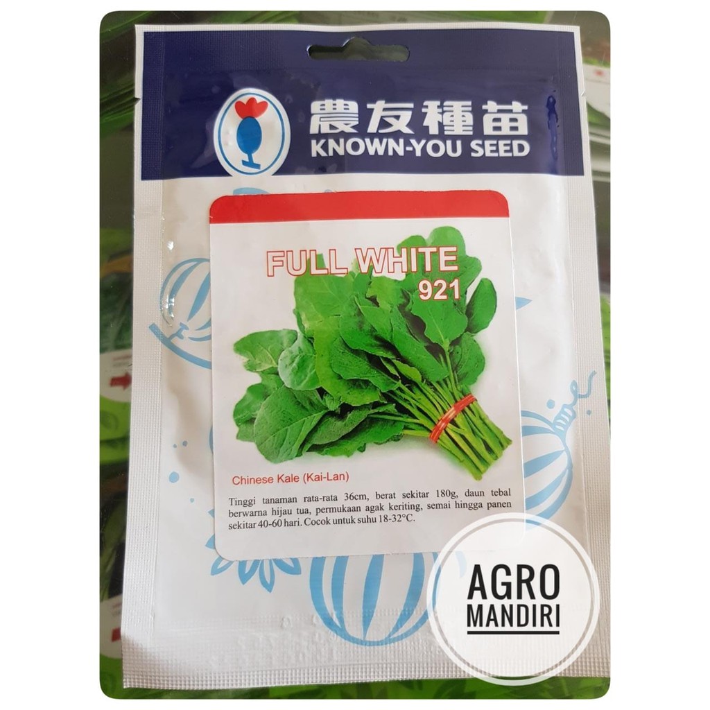 Jual Benih Bibit Chinese Kale Kailan Kaylan Full White Isi 10 Gram