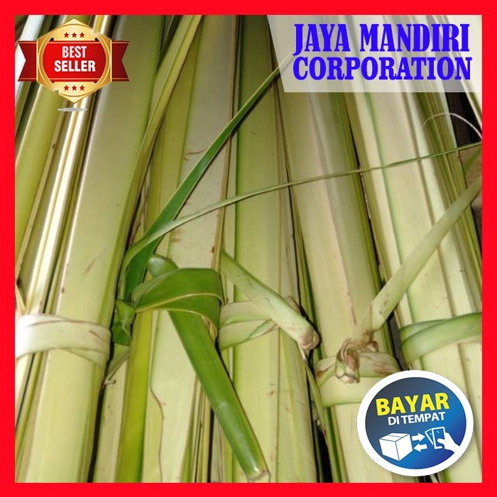 Ketupat Janur - Daun Janur Kelapa Bentuk Ketupat - Khusus JNE