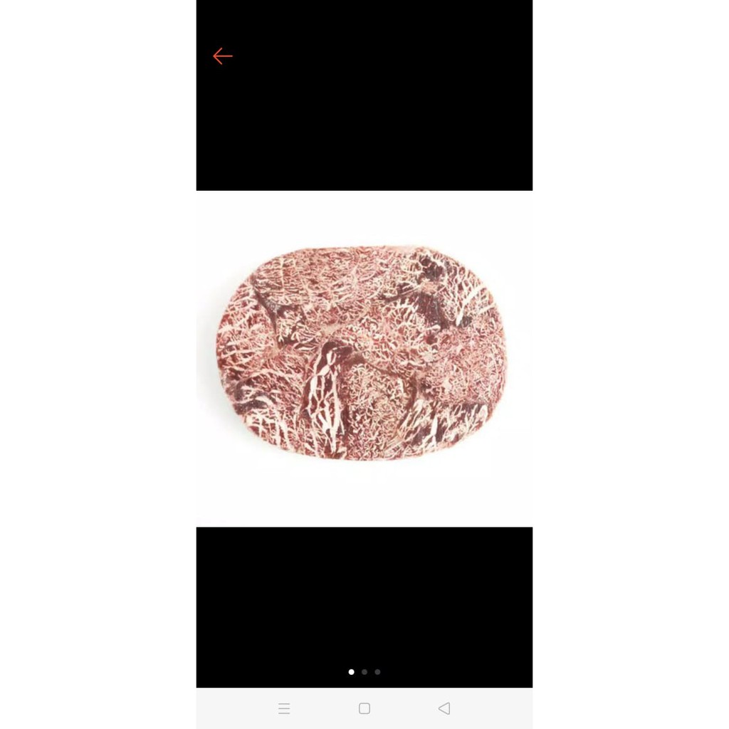 SIRLOIN SANTORI BEEF 1 kg