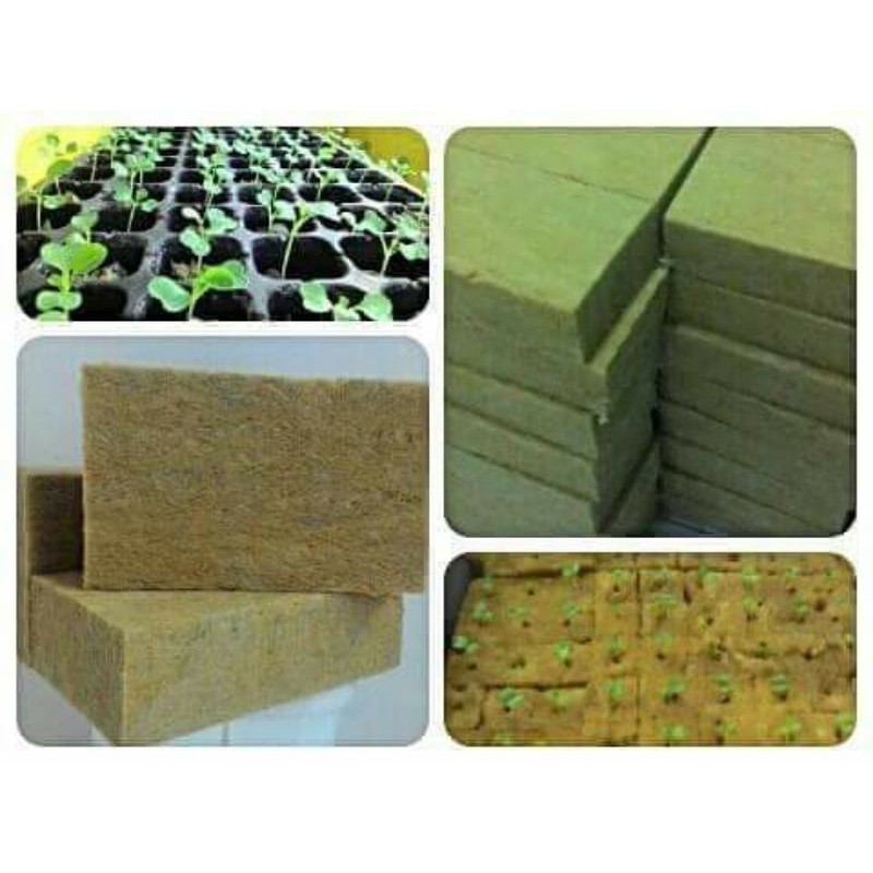 Jual Rockwool Hidroponik Shopee Indonesia