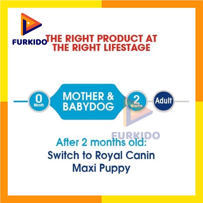 Royal Canin Maxi Starter Mother &amp; Baby Dog 4 KG