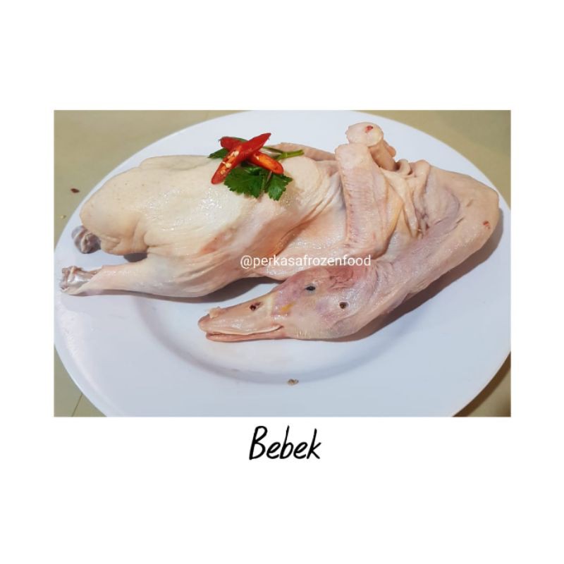 

Bebek Frozen 1,2 - 1,3 Kg