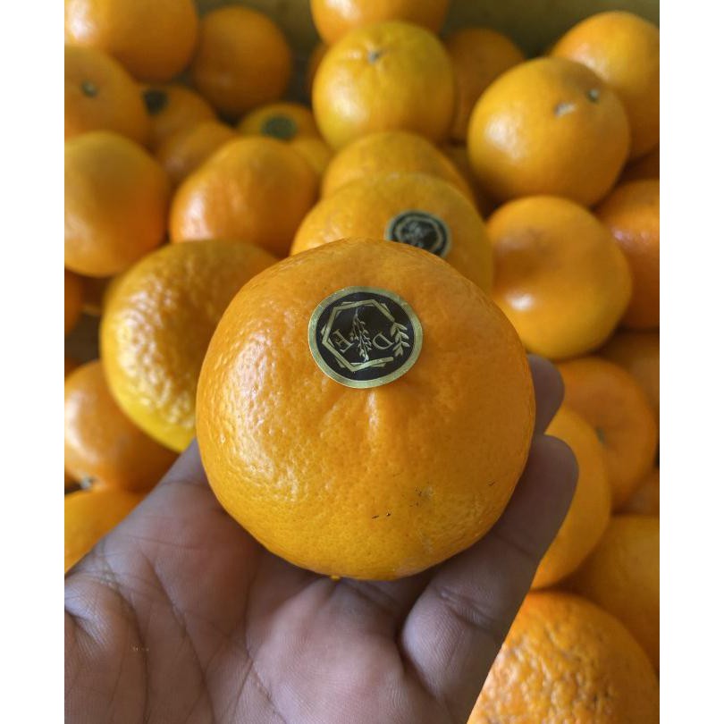 

Promo Jeruk Mandarin Wokam Fresh