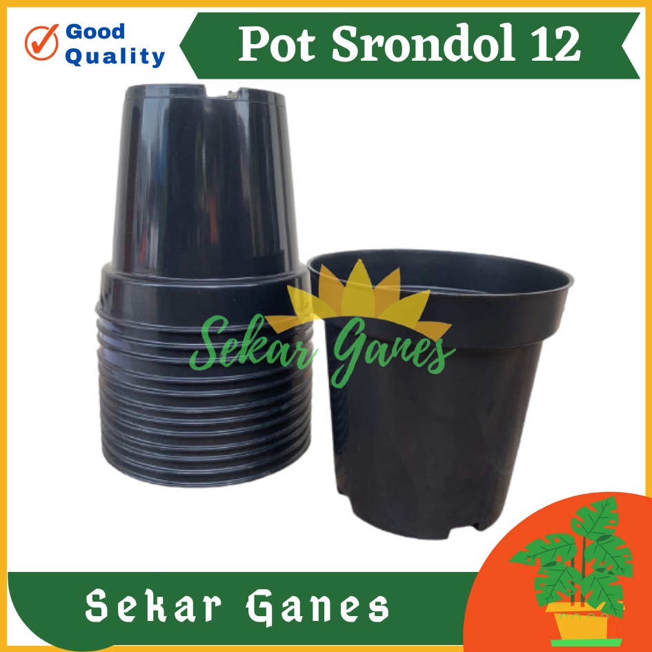 Pot Tinggi Srondol 12 HITAM - Pot Tinggi Usa Eiffel Effiel 18 20 25 Lusinan Pot Tinggi Tirus 15 18 20 30 35 40 50 Cm Paket murah isi 1 lusin pot bunga plastik pot tanaman Pot Bibit Besar Mini Kecil Pot Srondol Pot Bunga Tanaman Termurah Bahan Baguss