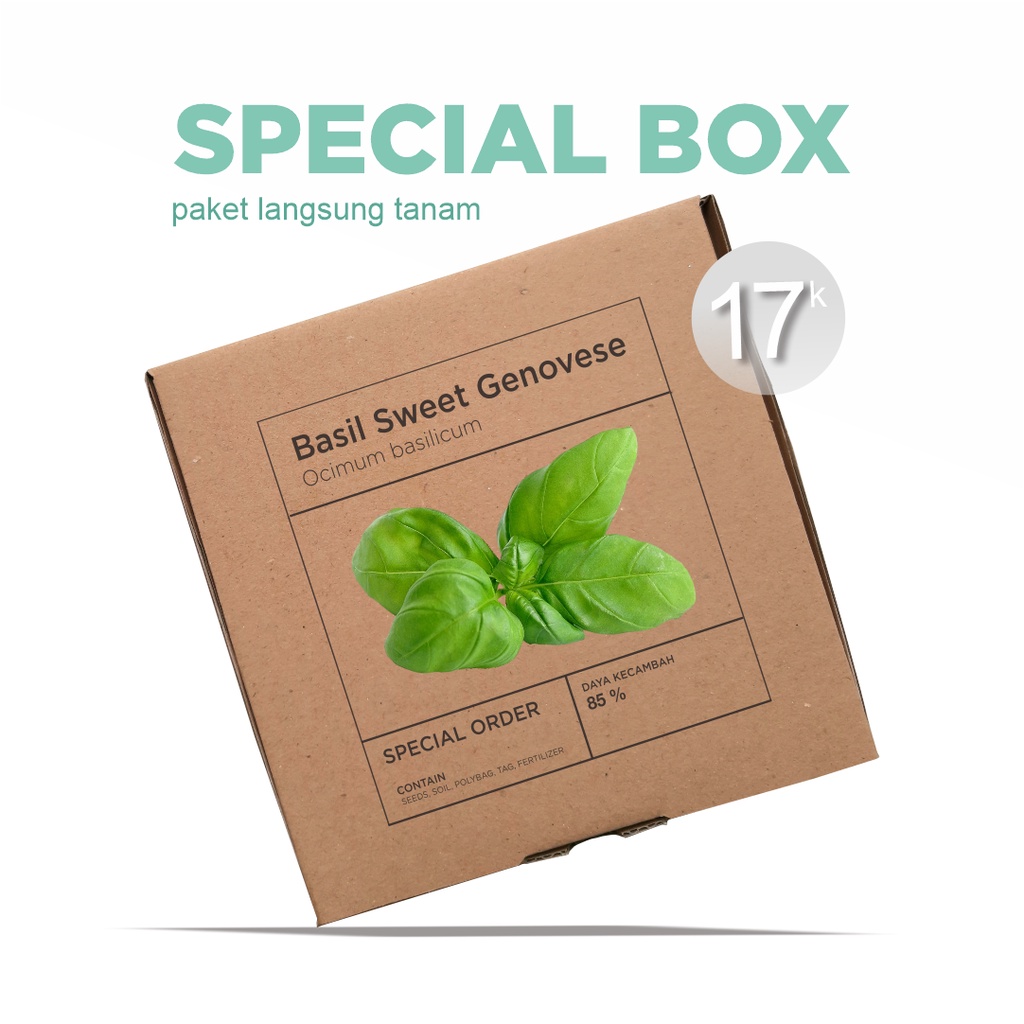 Paket Langsung Tanam - Gardening Kit - SPECIAL BOX - Benih Basil Sweet Genovese Herb Seeds