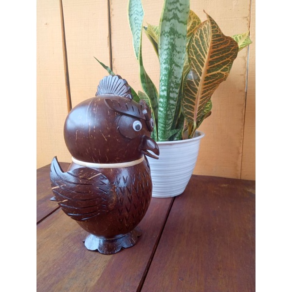 celengan unik batok kelapa/celengan karakter burung batok kelapa/celengan tempurung kelapa-5