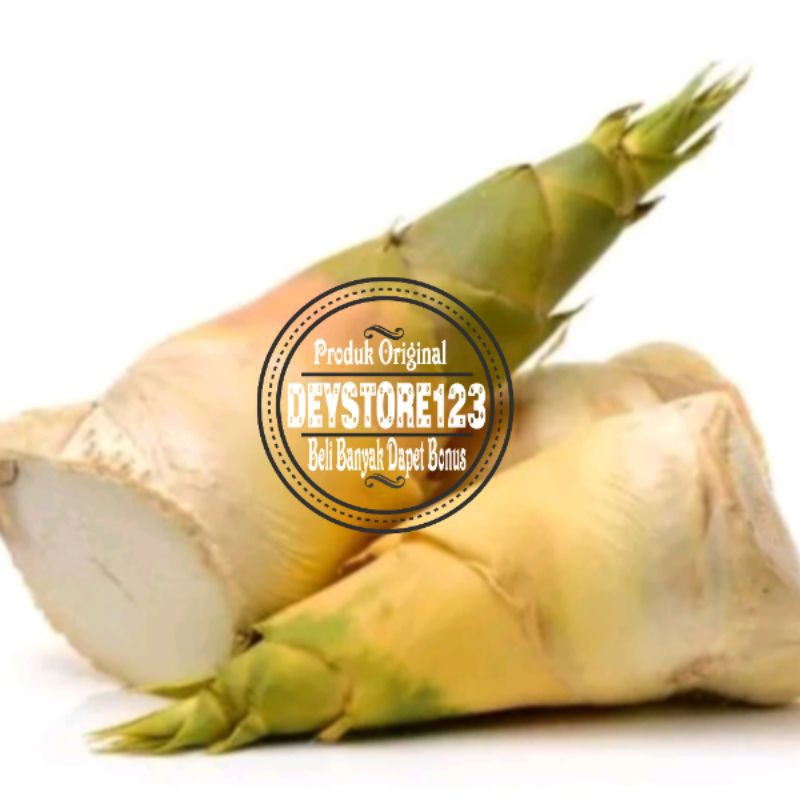 

Rebung bambu sayur segar berat 1 kg