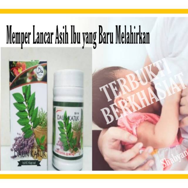 PELANCAR ASI EKSTRAK DAUN KATUK, 100% DAUN KATUK DAUN KATUK AS SHIHHA HERBAL PELANCAR ASI DAUN KATUK