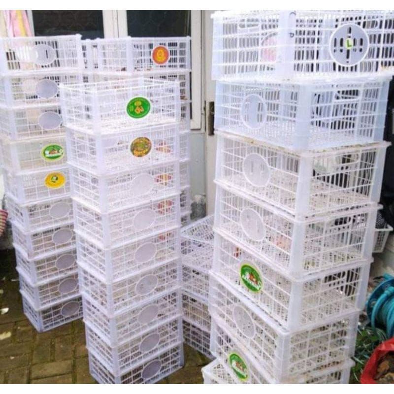 KERANJANG+TUTUP/ NON TUTUP BEKAS BUAH