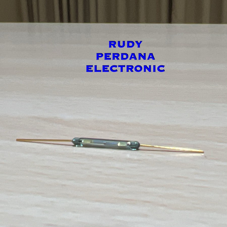 REED SWITCH SAKLAR GOLD EMAS MAGNETIC MAGNET SENSOR BESAR 20MM 2CM