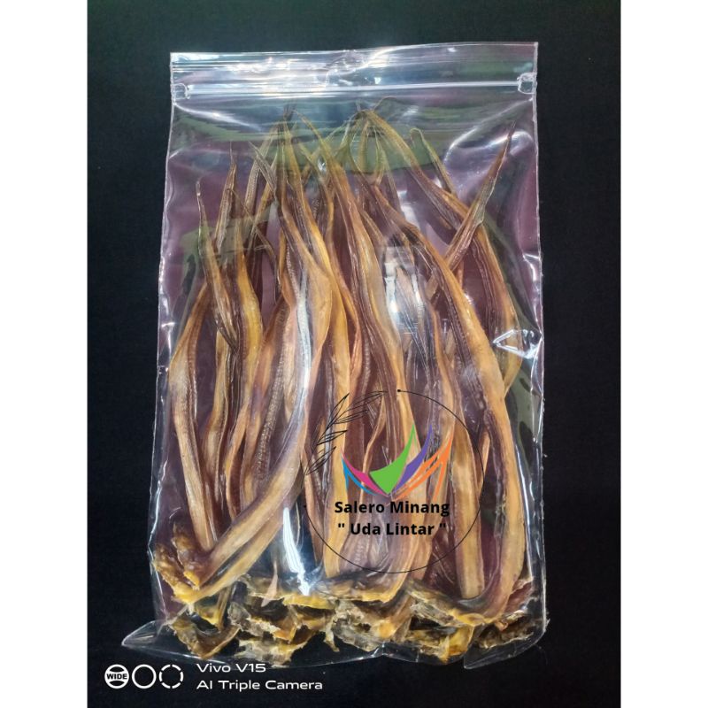 

Belut Jumbo isi 25 Ekor