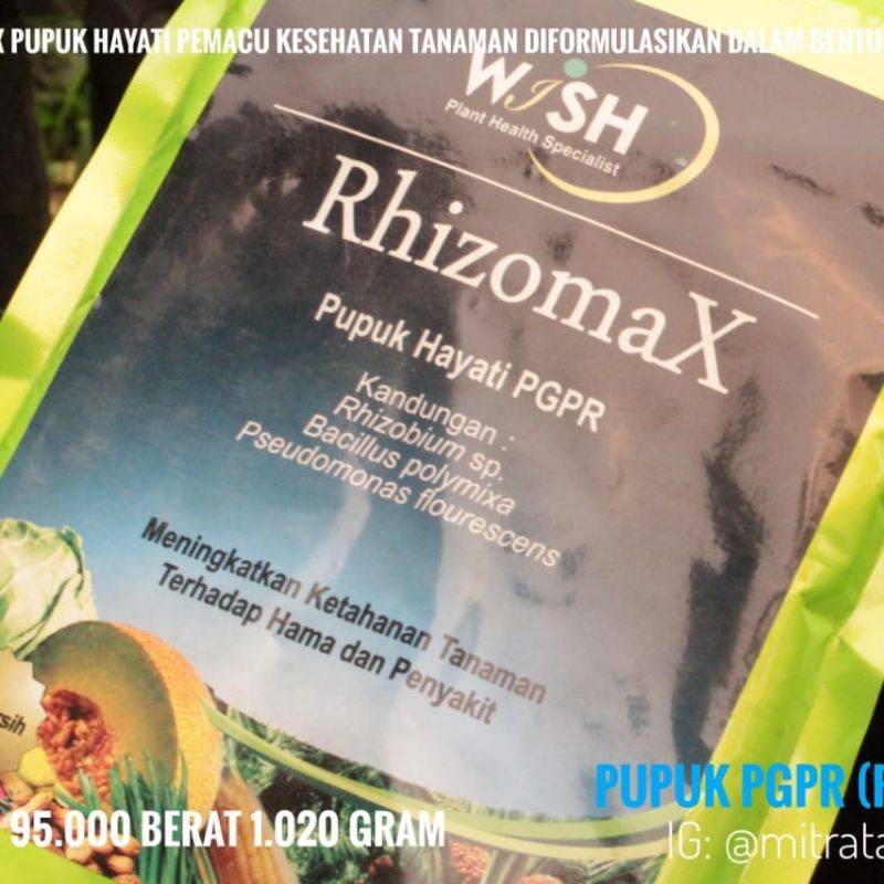 Pupuk PGPR (Rhizomax)
