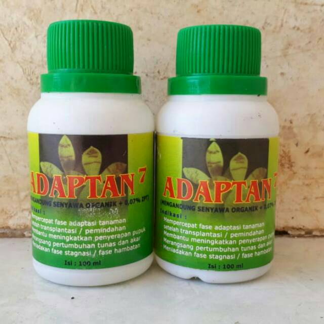 Adaptan 7 atau vitamin B1 untuk anggrek