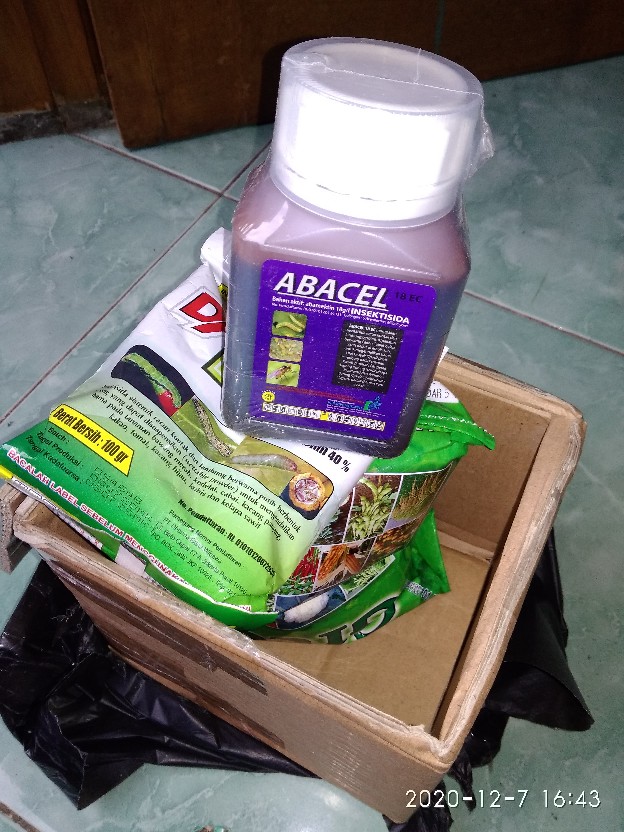 Insektisida Dangke 40wp 100gram