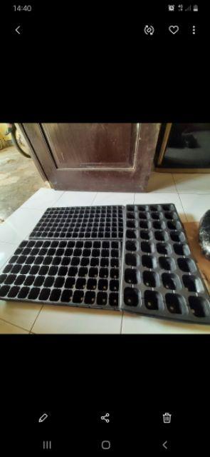 Pot Tray / Tray Semai Tipe 105 Lubang