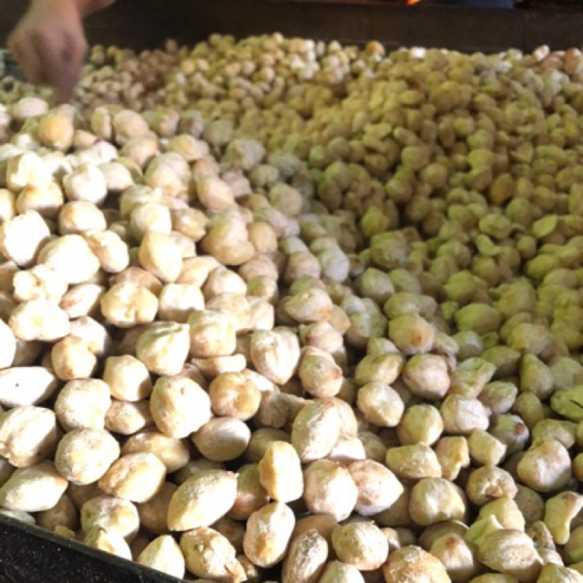 

Buah Kemiri bulat 1kg termurah