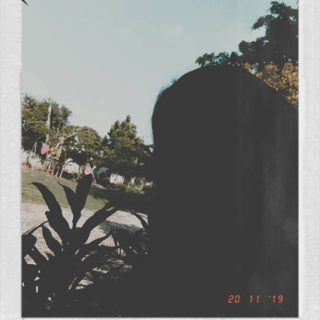 sanarus