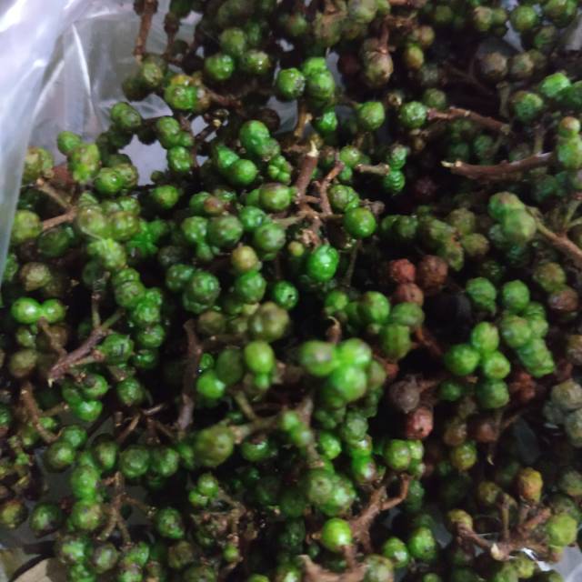 

andaliman Raya segar 250 gr