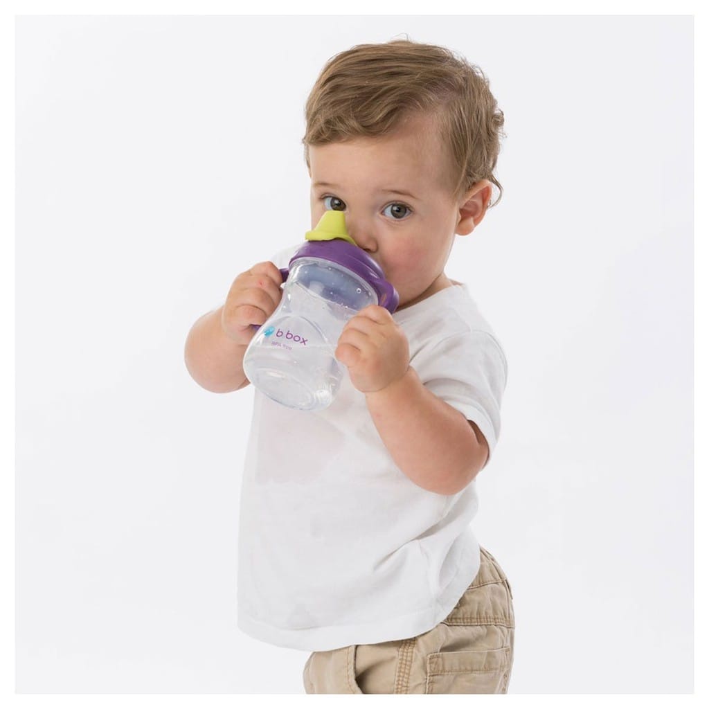 B Box Spout Cup / Botol Minum Anak