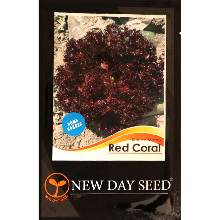 Benih Red Coral / Selada Keriting Merah / Lettuce ( New day Seed )