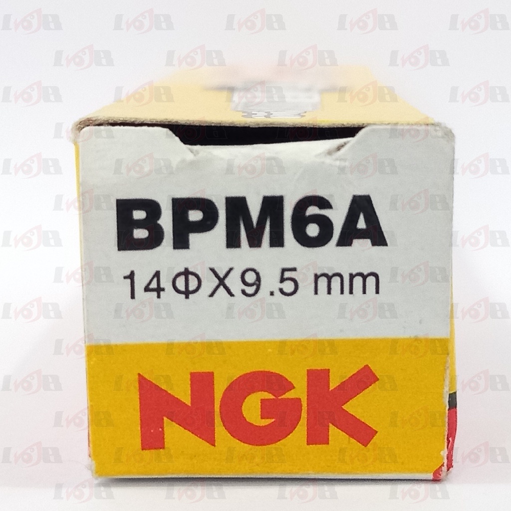 NGK BPM6A Busi Mesin Rumput Gergaji Mesin Standard Spark Plug High Quality