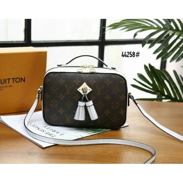 LOUIS VUITTON SAINTONGE BAG