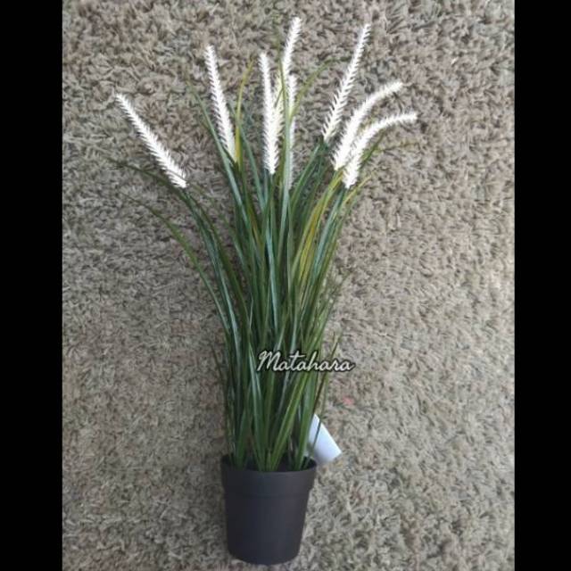 FEJKA RUMPUT ILALANG, Tanaman tiruan dalam pot