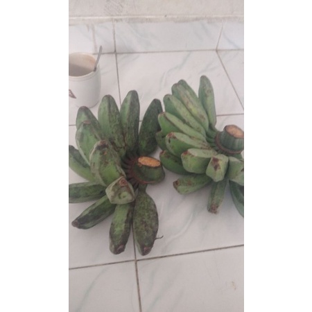 

pisang kepok super sukabumi harga per 1sisir