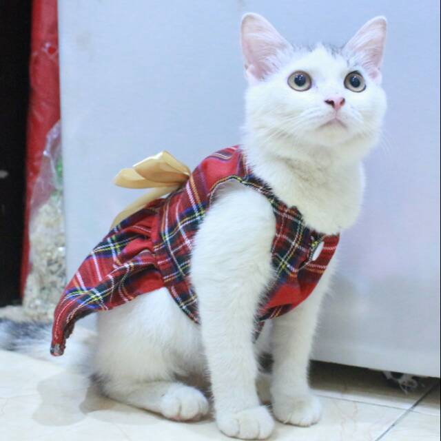 Dress kotak-kotak merah untuk kucing &amp; anjing /Jual Baju Kucing Terlengkap &amp; Berkualitas size S-XL