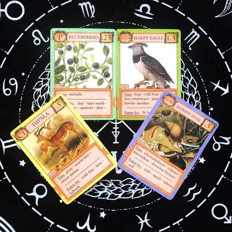 Kartu Tarot Ramalan Klasik Untuk Beginner