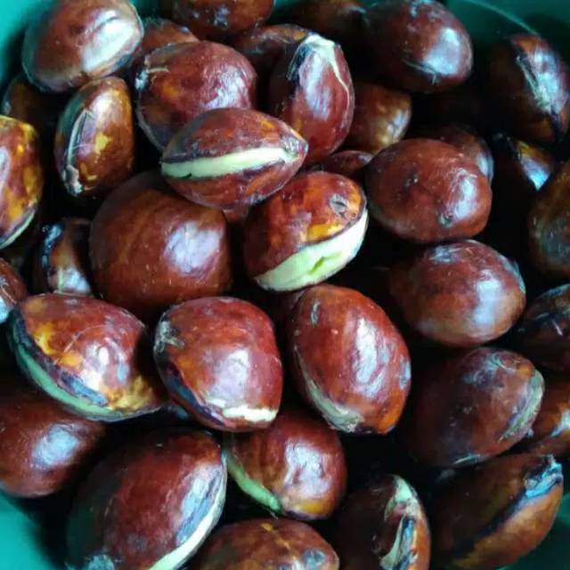 

Jengkol 250gr
